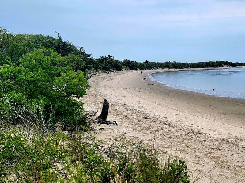Corson’s Inlet State Park