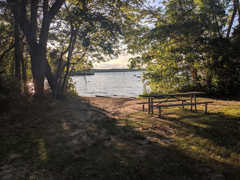 Cove Trail at Manasquan Reservoir