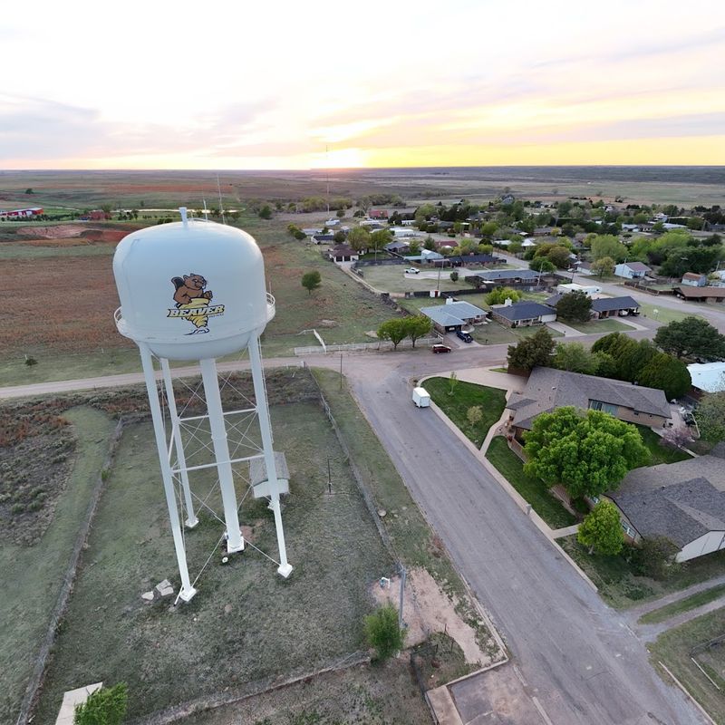 Cow Chip Throwing Capital of the World Cow Chip Throwing Capital of the World
