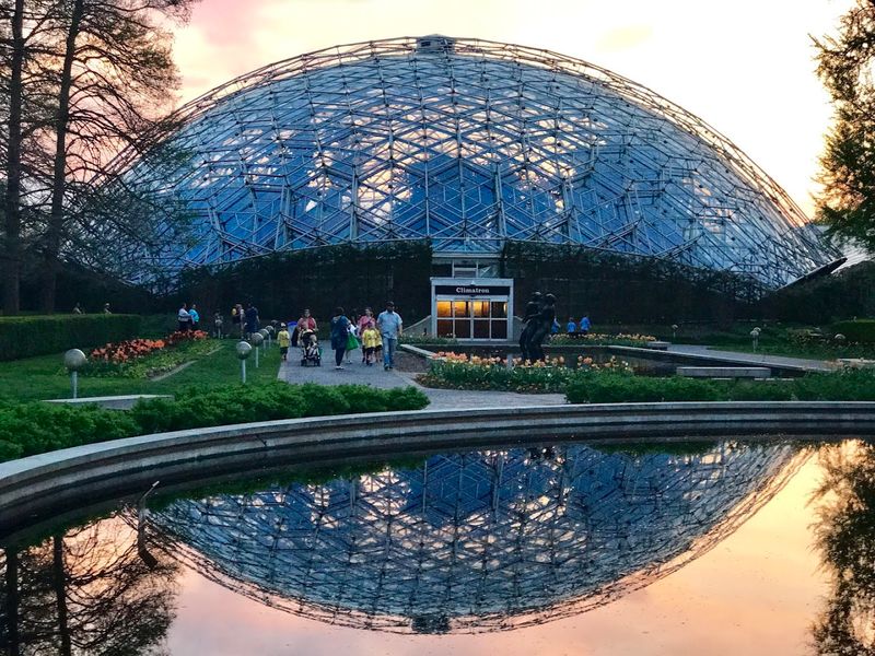 Crowds, Photos, and the Best Moment to Visit