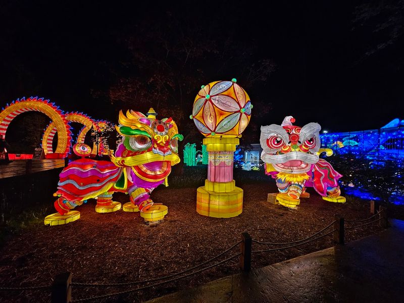Cultural Lantern Scenes Along the Path