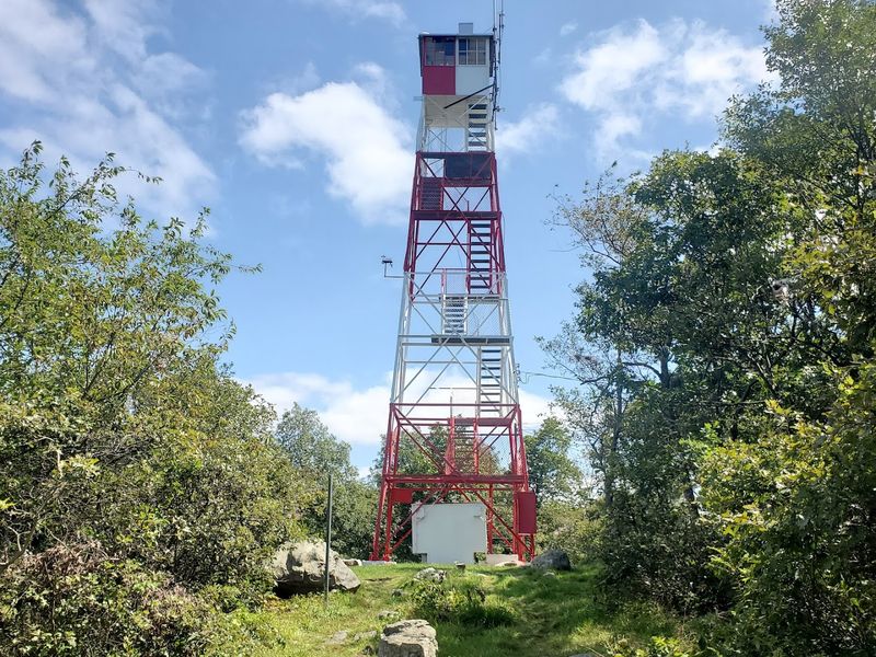 Culver Fire Tower