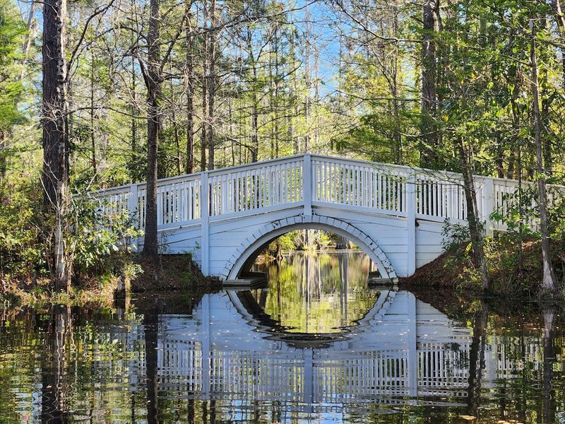 Cypress Gardens (Moncks Corner)