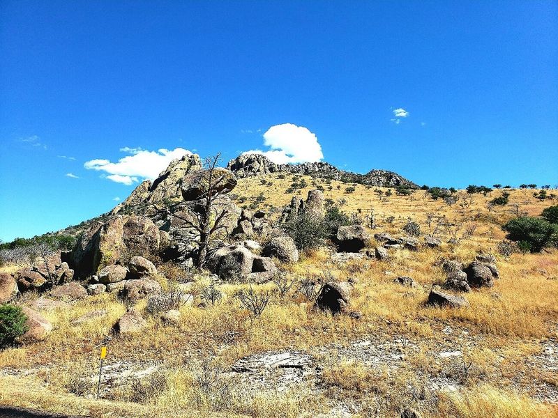 Davis Mountains Scenic Loop (Fort Davis)