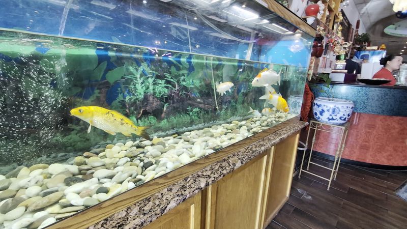 Decor, nostalgia, and the atmosphere people remember