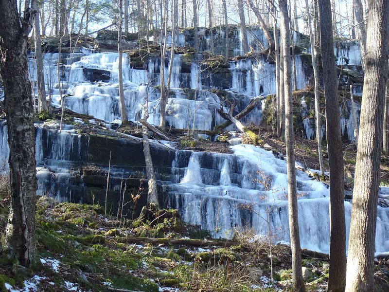 Delaware State Forest