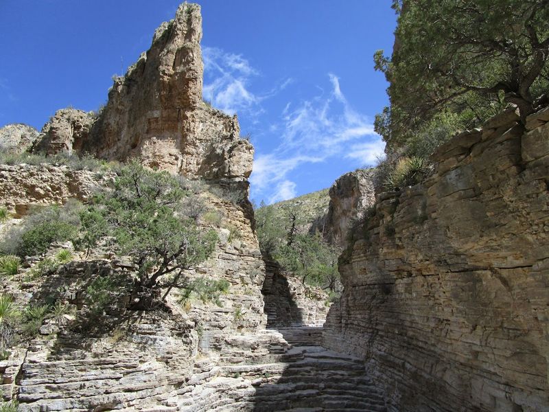 Devil's Hall and Its Towering Stone Corridor