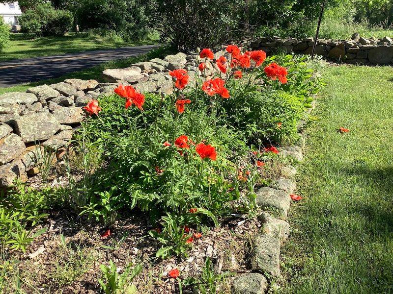 Display Gardens That Turn a Visit Into a Lesson Display Gardens That Turn a Visit Into a Lesson