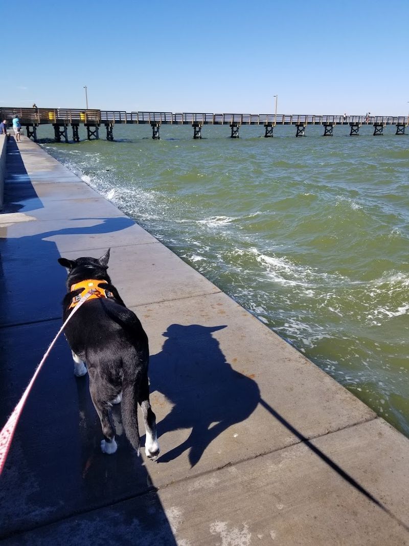 Dog-Friendly Waterfront Paradise Dog-Friendly Waterfront Paradise