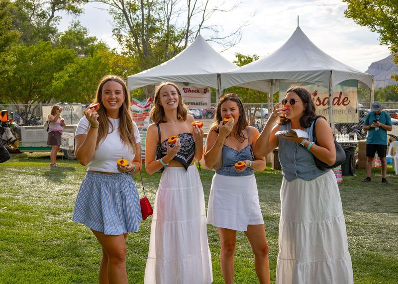 Palisade Peach Festival (Palisade)