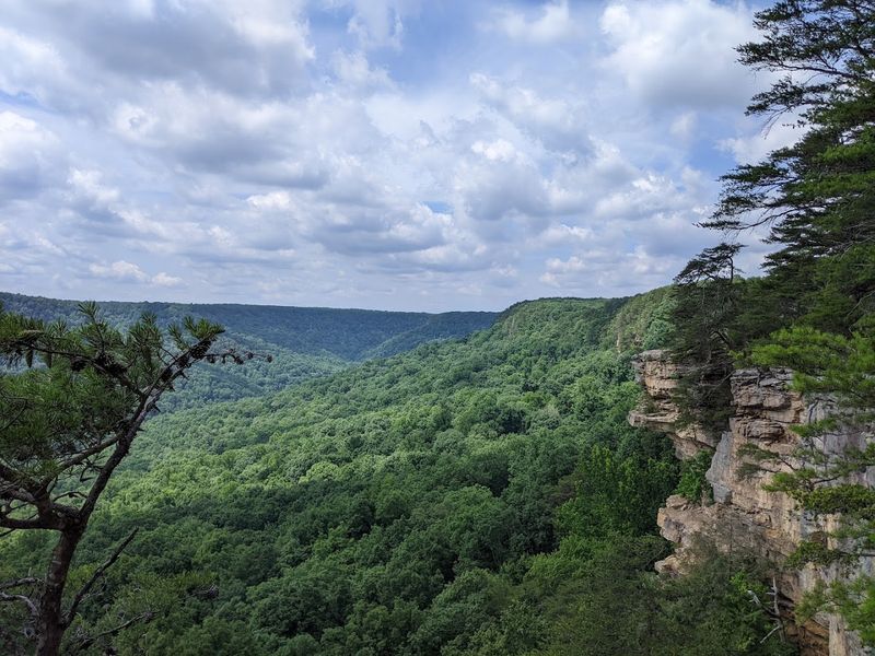 Why the Fiery Gizzard Trail Became a Southeast Legend