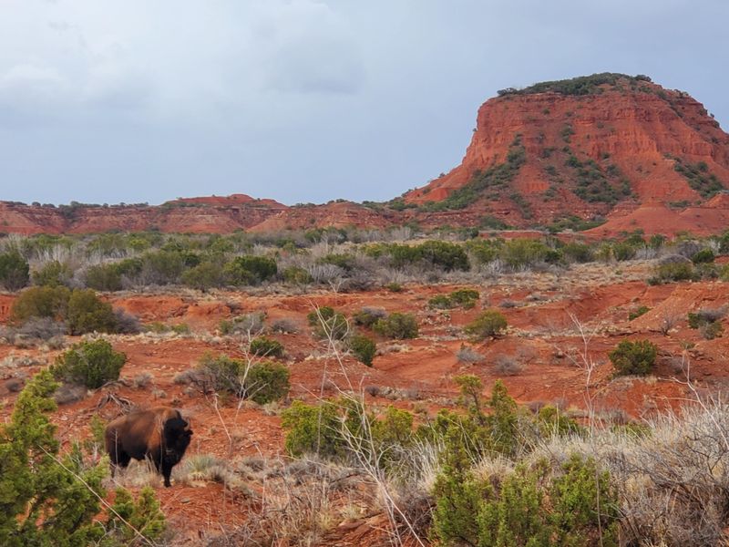 Eagle Point Trail (Caprock Canyons State Park)