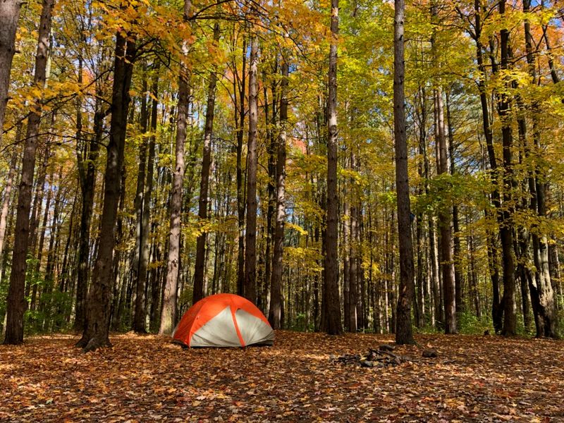 East Otto State Forest Campground