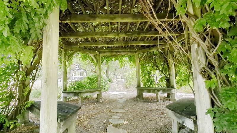 East Texas Arboretum & Botanical Society