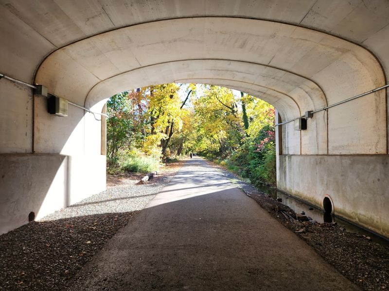 Easy Access Points Make This Trail Simple to Visit
