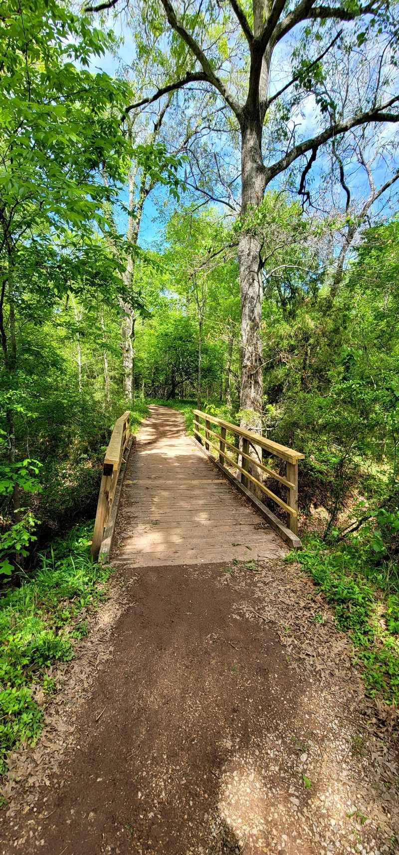 Easy Forest Hikes For All Ages Easy Forest Hikes For All Ages
