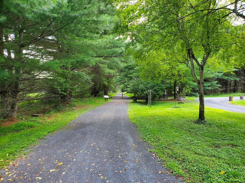 Easy Trails That Keep You Close to Wildlife