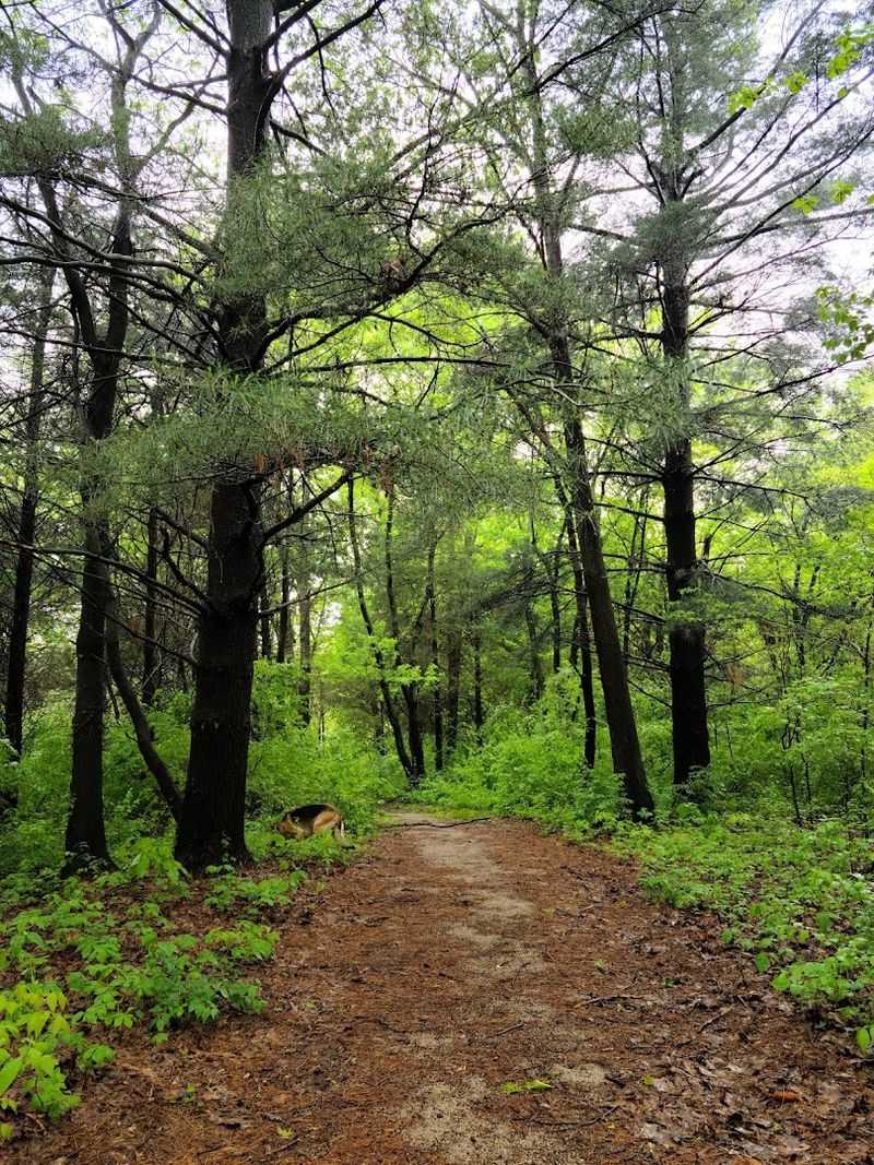 Easy Trails for a Relaxing Hike
