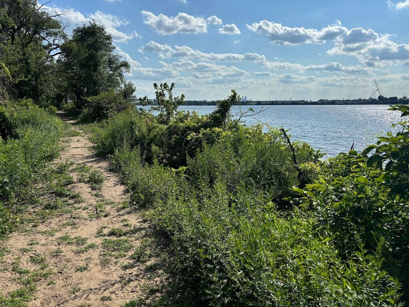 Easy riverside paths with skyline views across the water