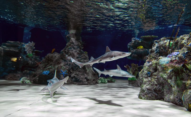 Educational programs give the exhibits real depth