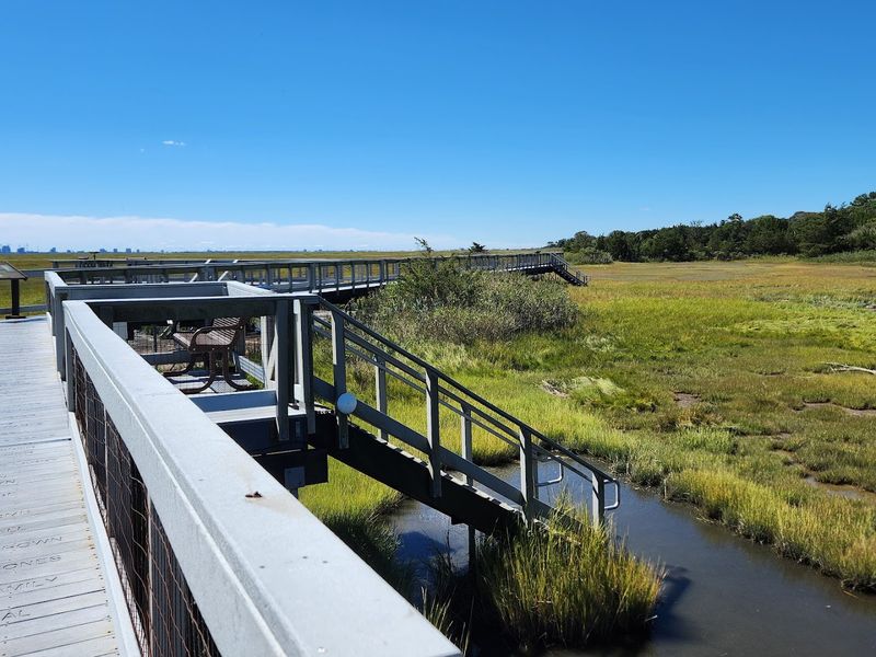 Edwin B. Forsythe National Wildlife Refuge - Galloway