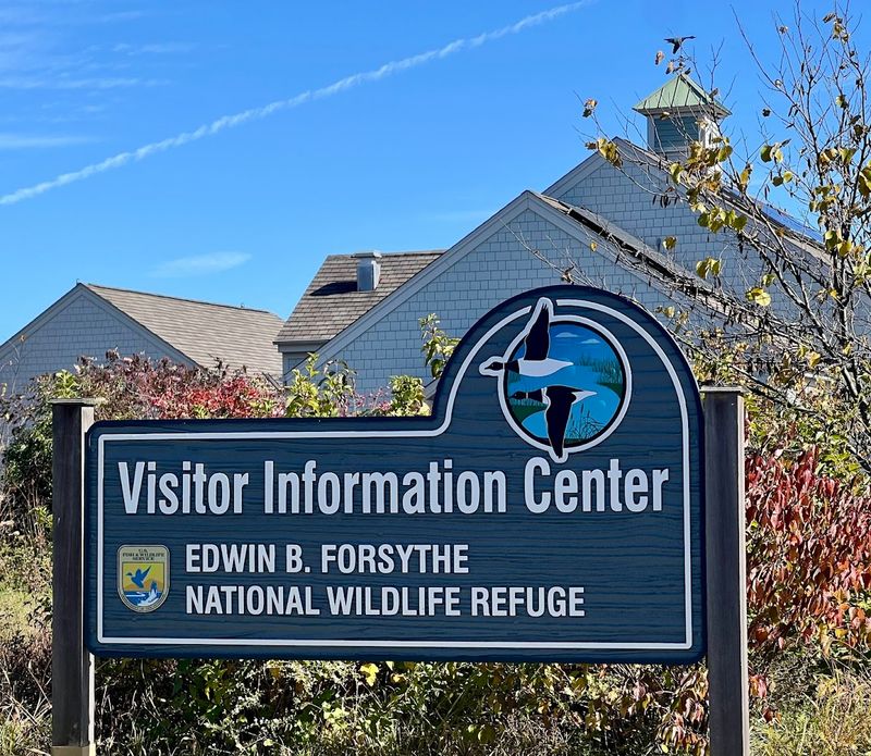 Edwin B. Forsythe National Wildlife Refuge - Galloway