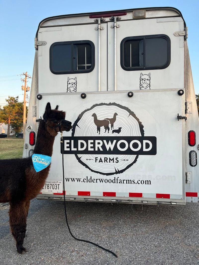 Elderwood Farms — Millington