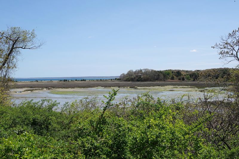 Ellisville Harbor State Park, Plymouth