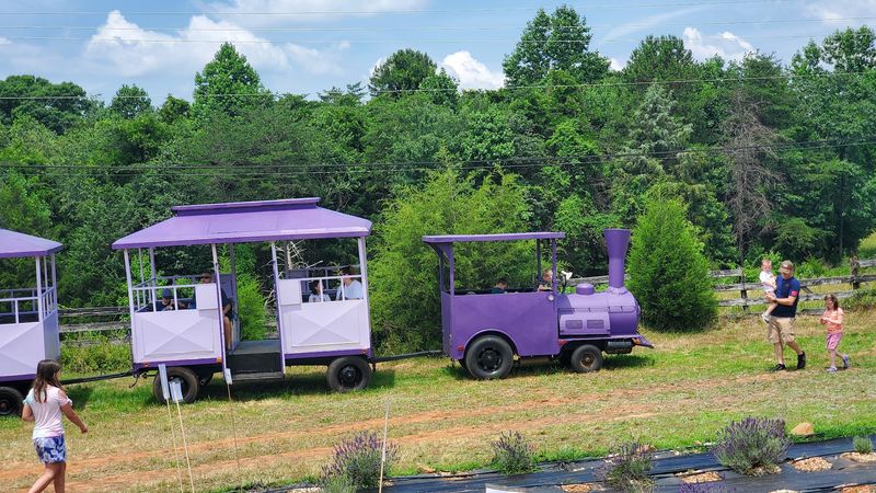 Enjoy Family Attractions Beyond the Fields