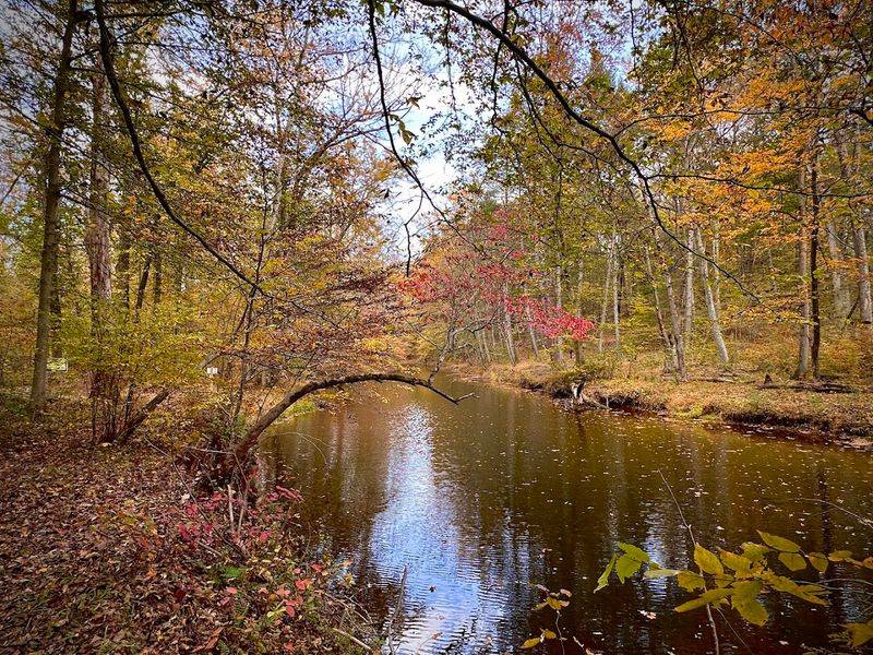Every season gives the preserve a different personality