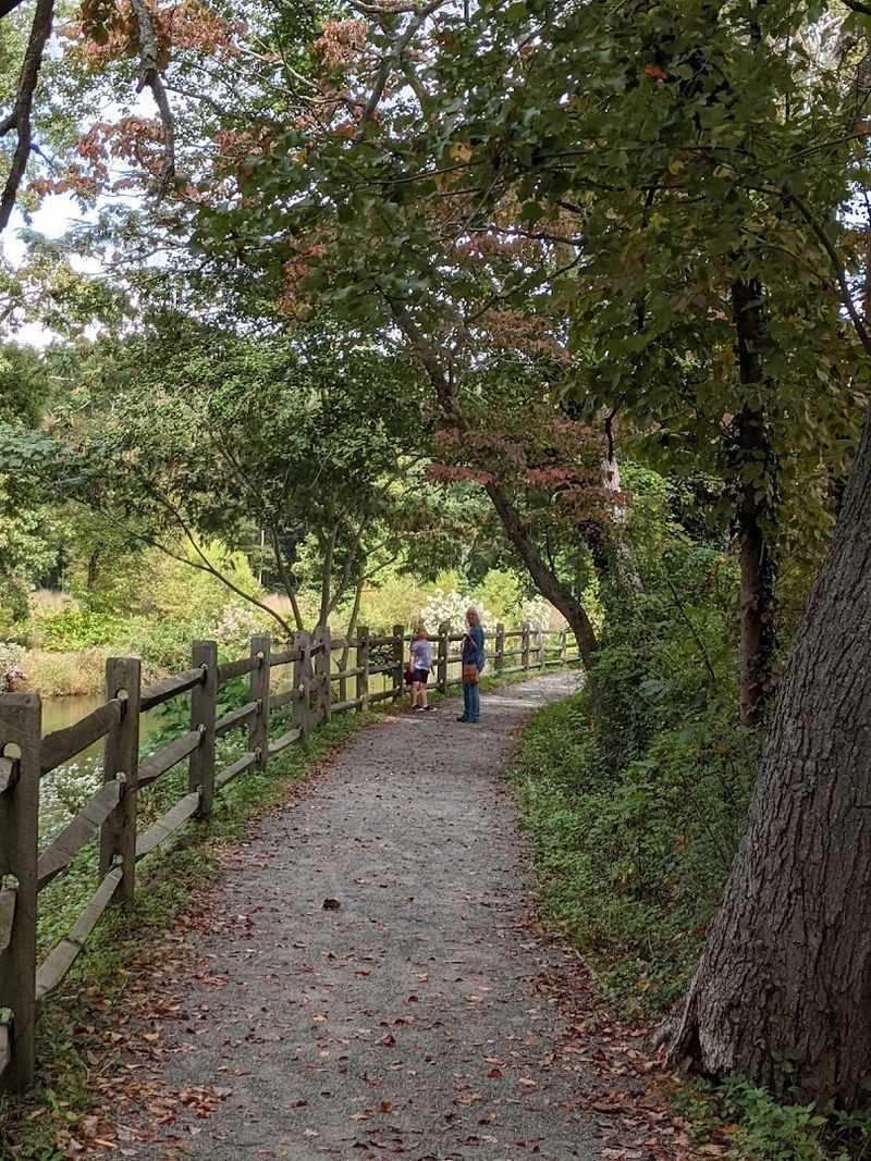 Everyday Living Feels More Manageable in This South Jersey Community