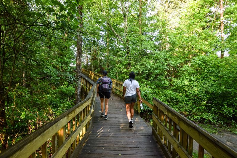 Experience Chattanooga Guided Hiking Tours — Chattanooga