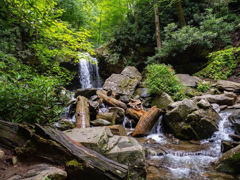 Explore Great Smoky Mountains National Park from the Tennessee side