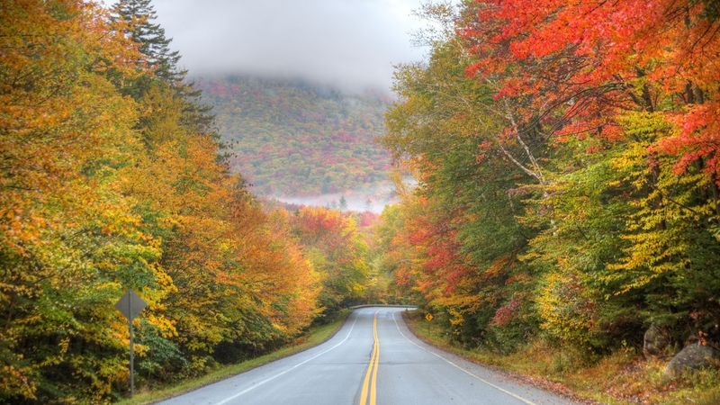 Mount Greylock State Reservation (Lanesborough)