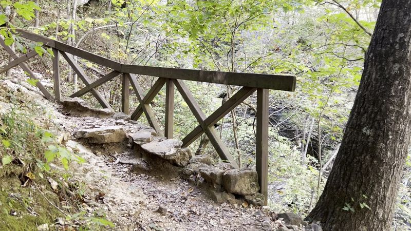 Past the Stairs, the Trail Gets Wilder Past the Stairs, the Trail Gets Wilder