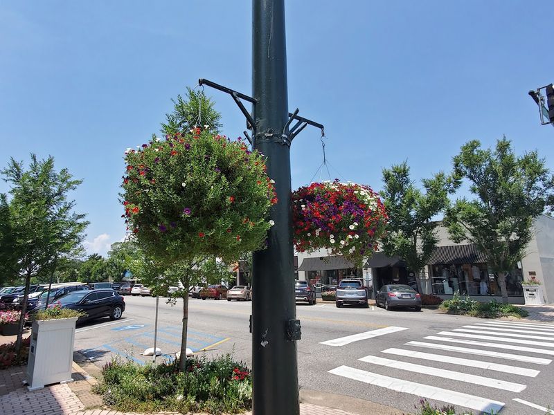 Fairhope's flower-filled streets Fairhope's flower-filled streets