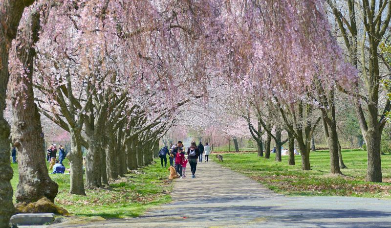 Fairmount Park – Philadelphia, PA Fairmount Park – Philadelphia, PA