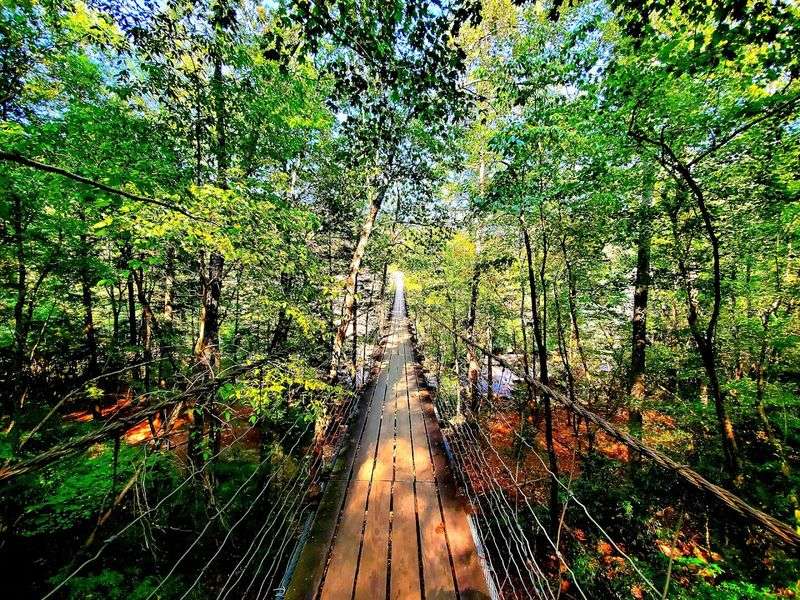 Fall Creek Falls State Park — Spencer