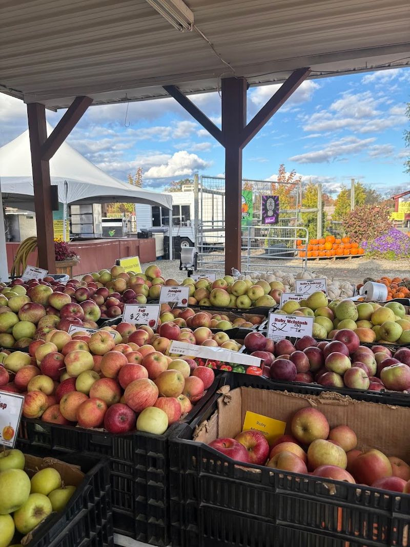 Fall turns the farm into apples, pumpkins, hayrides, and corn maze fun