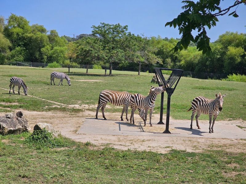Families Can Turn a Quick Visit Into a Full Day Out