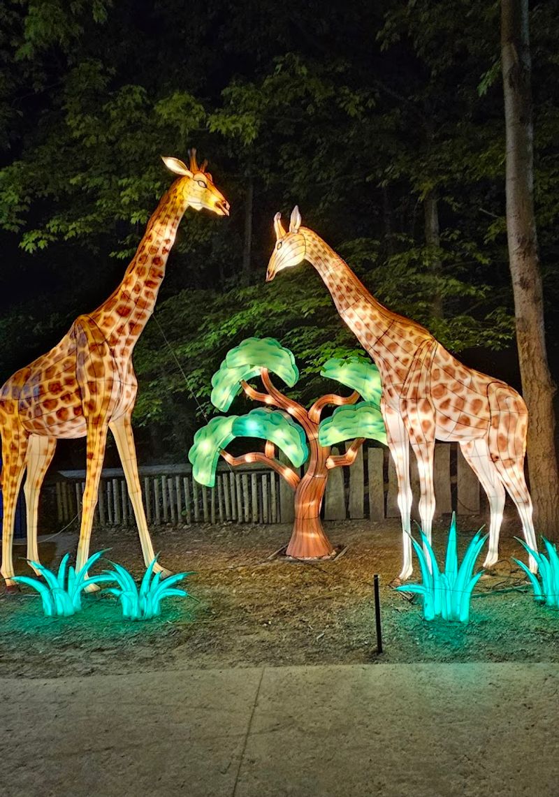 Family-Friendly Festival Atmosphere