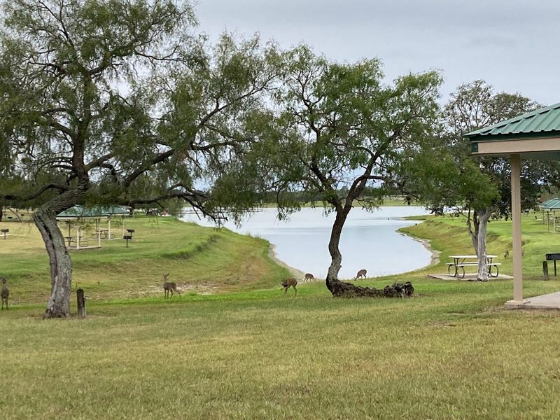 Family-Friendly Picnic Areas