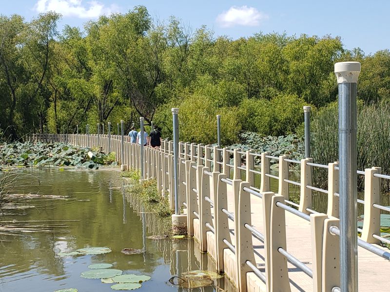 Family-Friendly Strolls And Kid Tips Family-Friendly Strolls And Kid Tips