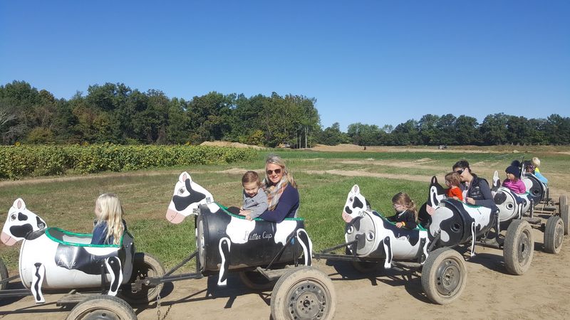Family fun gives the farm an all-day feel