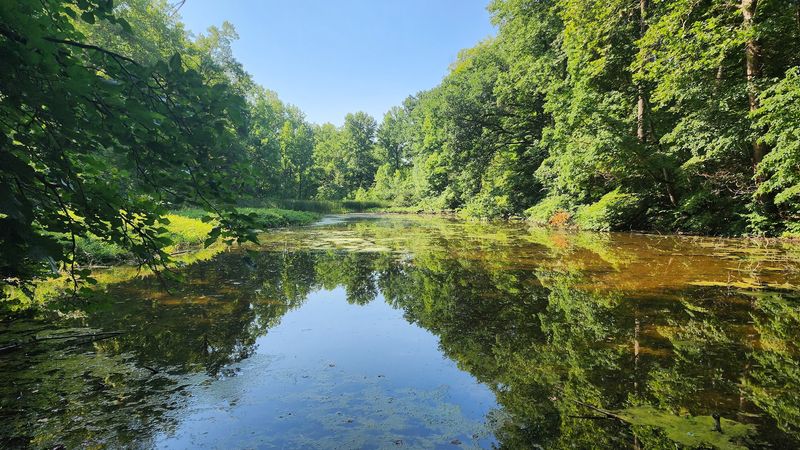 Fernwood Botanical Garden and Nature Preserve — Niles