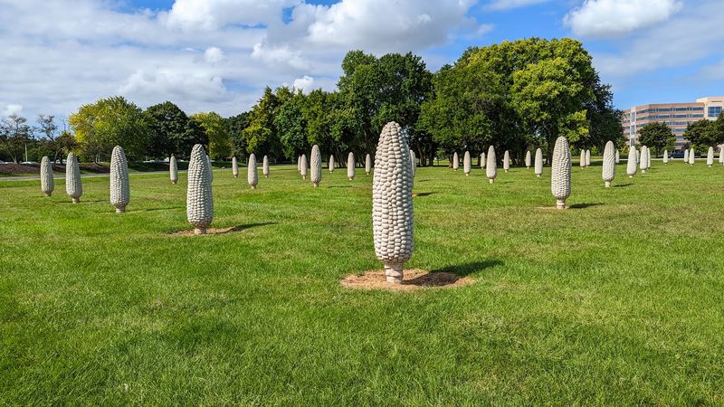 Field of Giant Corn Cobs (Dublin)