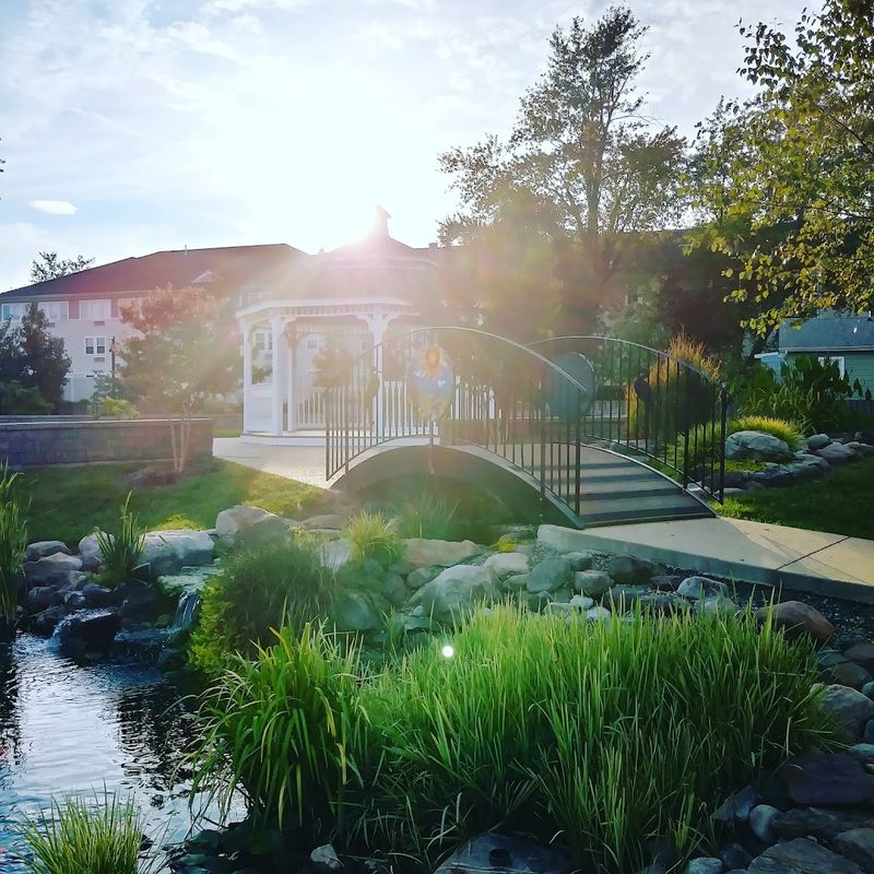 Finding a quiet pause at Sunrise Garden Finding a quiet pause at Sunrise Garden