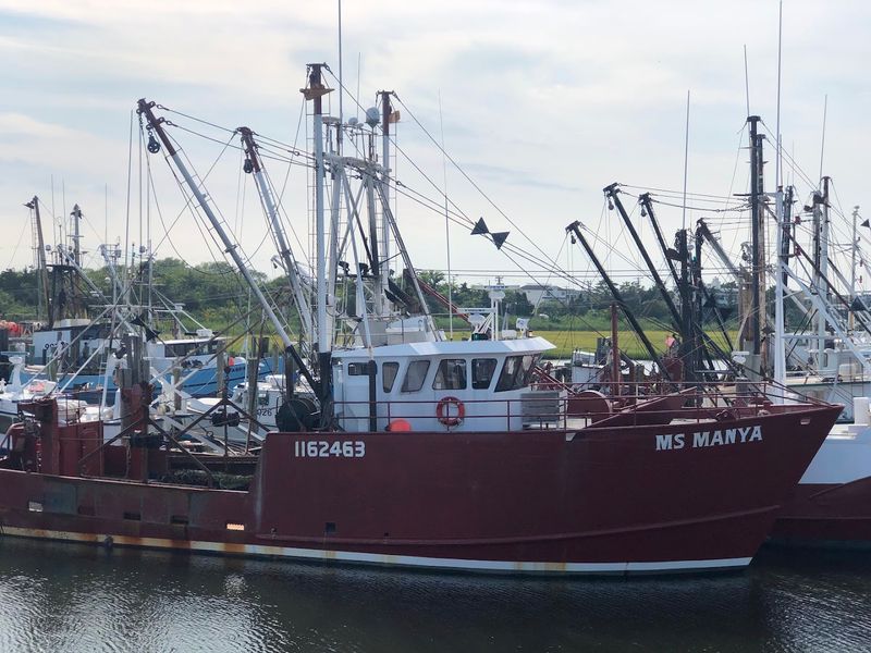 Fishing Charters and Bay Trips Make the Water Part of the Adventure Fishing Charters and Bay Trips Make the Water Part of the Adventure