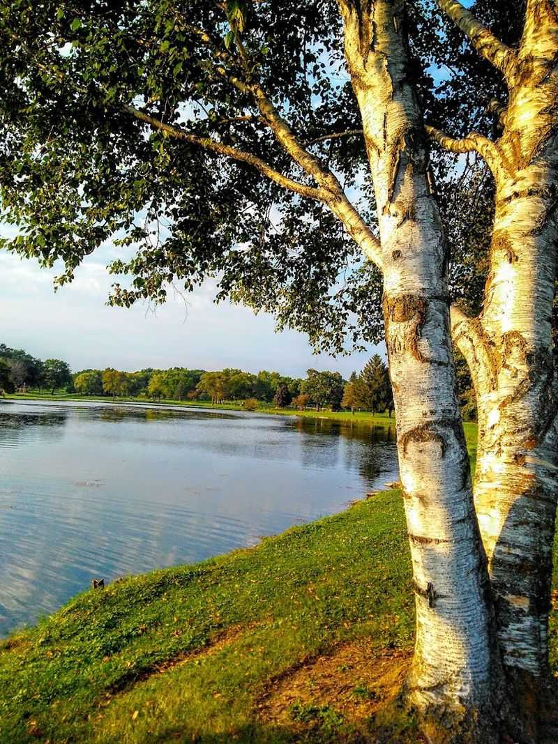 Fishing spots and simple lakeside pleasures Fishing spots and simple lakeside pleasures