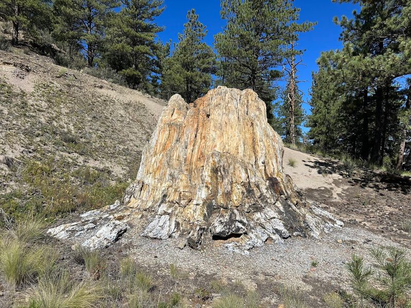 Florissant Fossil Beds National Monument Florissant Fossil Beds National Monument